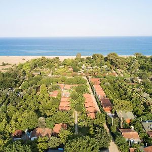 Aile Bungalov