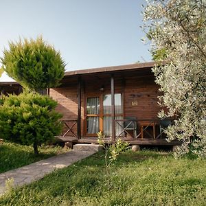 Bungalov